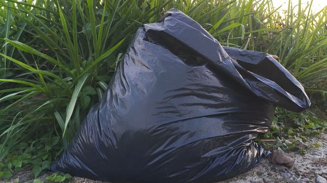 Plastiktüte am Wegrand