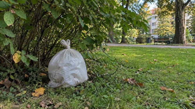Plastiktüte im Stadtpark