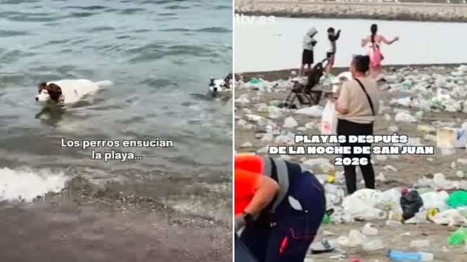 playas-tras-noche-san-juan-prohibido-perros