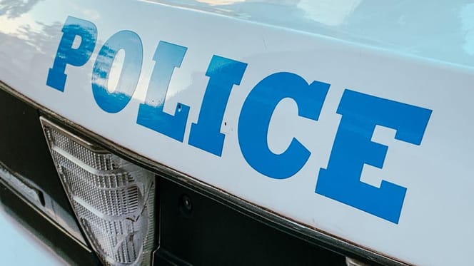 Polizia americana