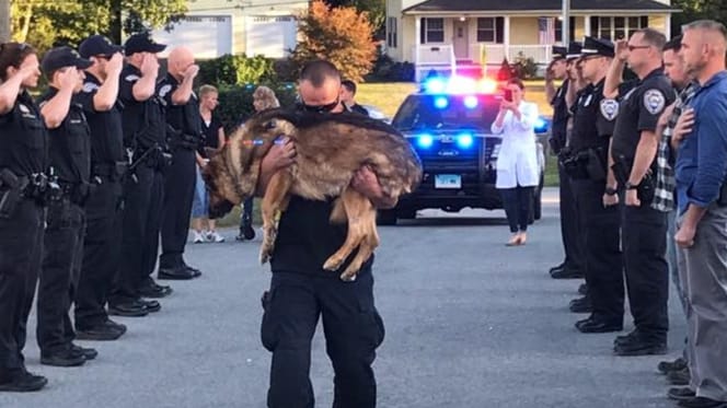 Un policier portant un chien K9