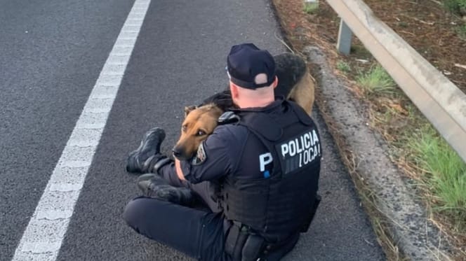 policia-mallorca-rescata-perro-carretera