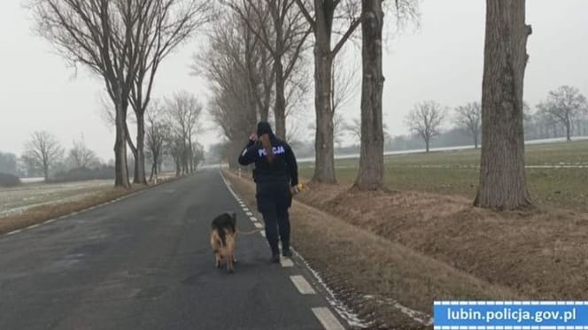 policjantka uratowała psa