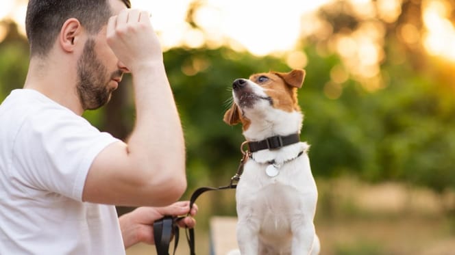 premio-para-perro-adventuros-training-purina