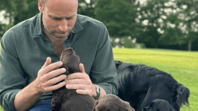 Prince of Wales with family dog and puppies