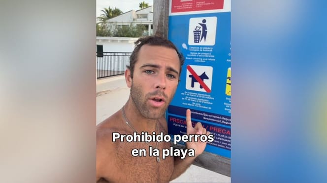 prohibido-perros-playa-video-veterinario-tomas-palomares-rolandi