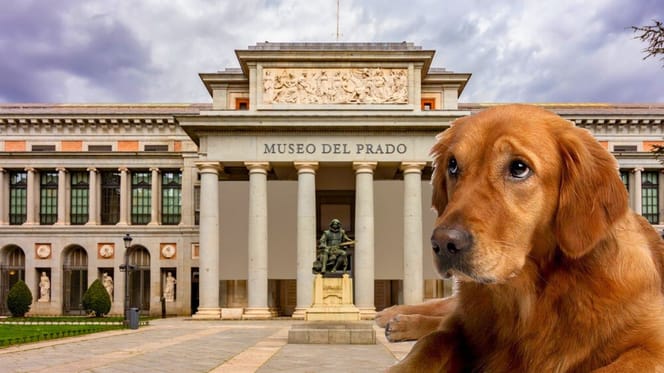 Pueden entrar perros en el Museo del Prado