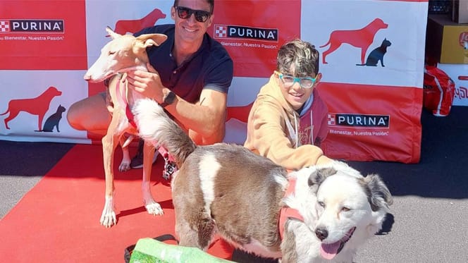 purina-desfile-perruno-tenerife