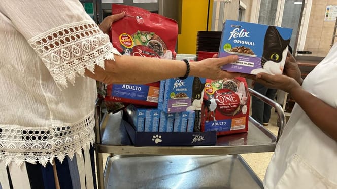 purina-españa-comida-para-perros-gatos-en-comedores-sociales-de-madrid