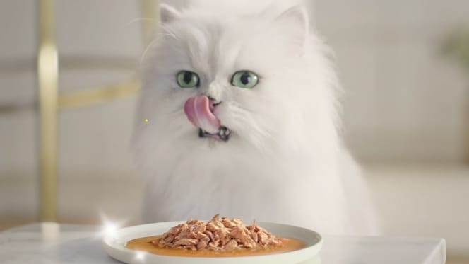 purina-gourmet-perle-para-gatos
