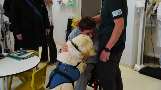 purina-hospital-trueta-terapia-perro-con-niños-paralisis-cerebral