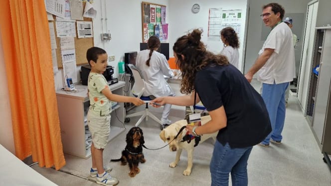 purina-terapia-perro-hospital-manacor