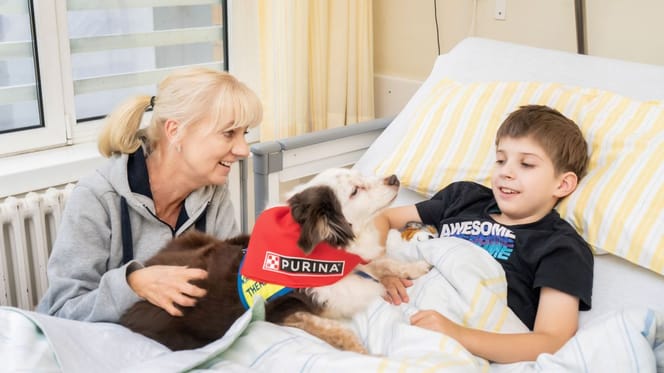 PURINA unterstützt seit Anfang 2026 die wertvolle Arbeit von Kinderschutzengel e.V., der mit Therapiebegleithunden kleine Patienten im Krankenhaus besucht und ihnen Ruhe und Zuversicht schenkt