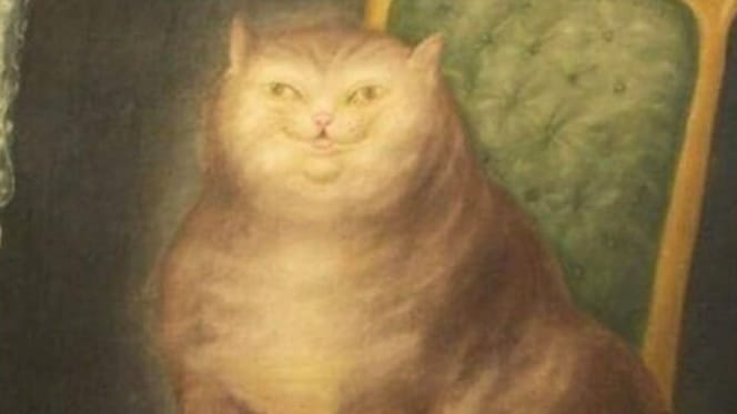 Qué gato medieval eres según tu mes de nacimiento