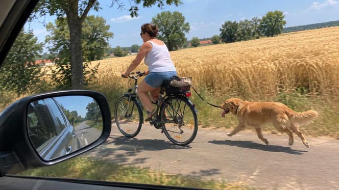 Radfahrerin mit erschöpftem Hund