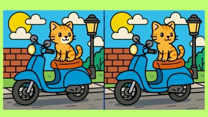Zoekplaatje kat op scooter