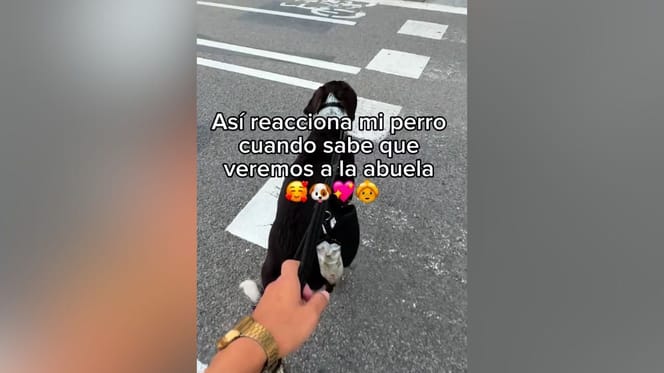 reaccion-perro-recibiendo-abuela-metro-barcelona