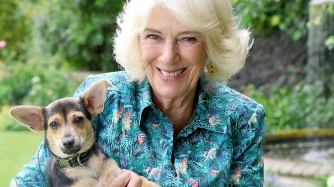 Reine Camilla