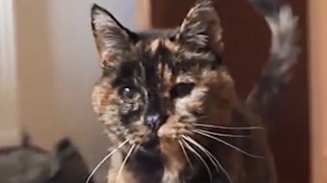 Rekordhalterin Flossie