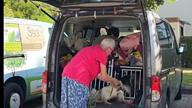 Rentnerin lebt mit ihren 4 Hunden im Van