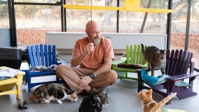 Pensioner and rescue cats