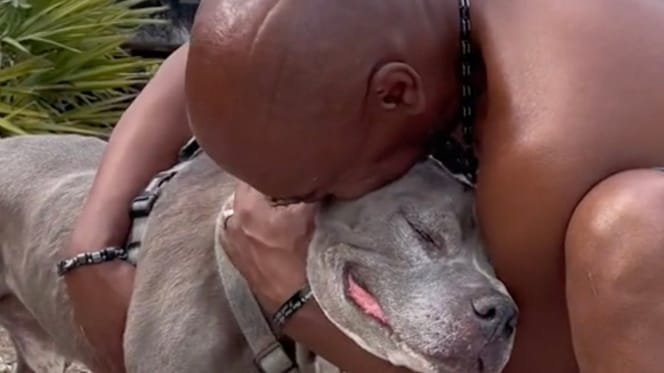 Dog and owner reunion