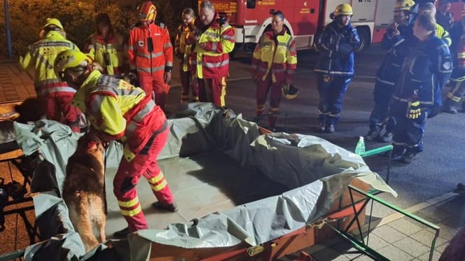 Intervento di cani da soccorso