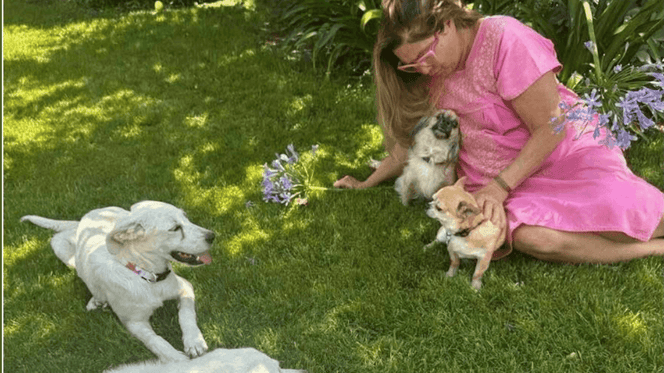 Romina Power e i cani