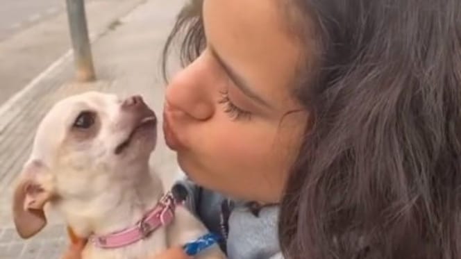 rosalia-besa-perrita-mochi