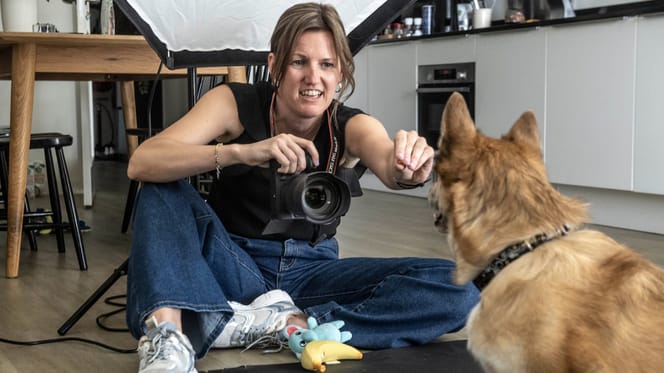 Roxanne maakt fotoserie van adoptiehonden met nieuw thuis