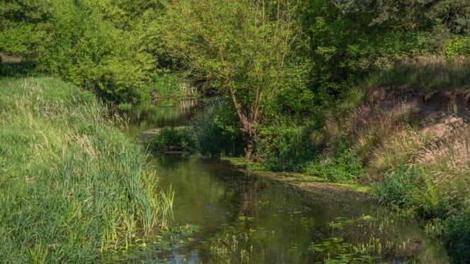 Fluss