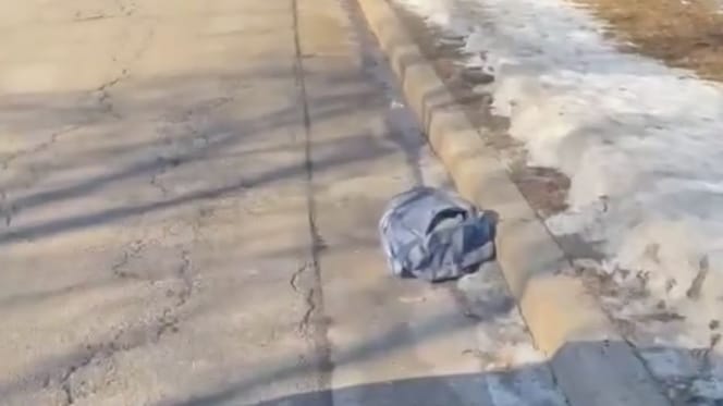 Sac en bord de route