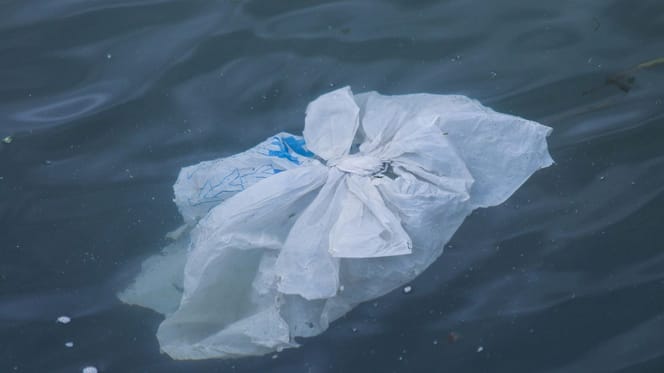 Sac en plastique