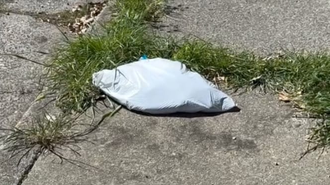 Sacchetto di plastica abbandonato