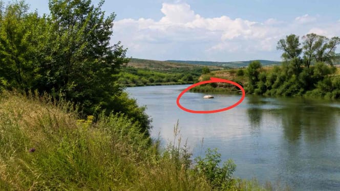Un saco flotando en la orilla de un río