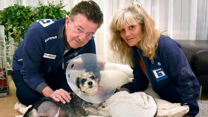 Sammy krijgt tweede leven als Gamma hond