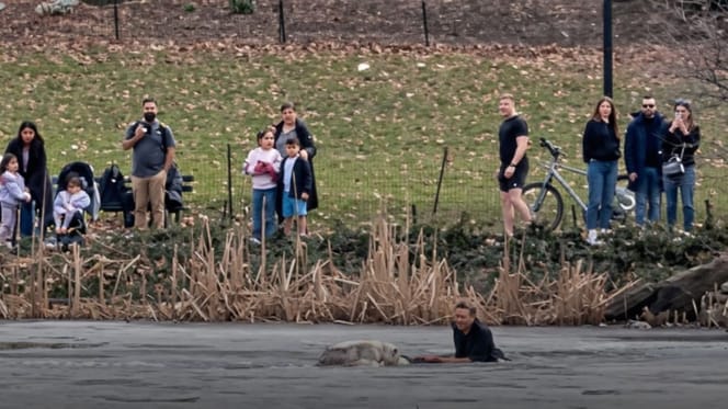 Salvataggio di un cane a Central Park