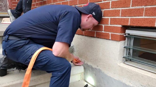 Rettung von Kätzchen