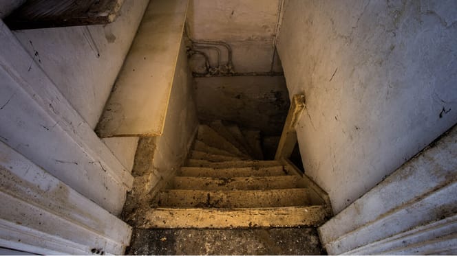 escaleras al sótano y perro
