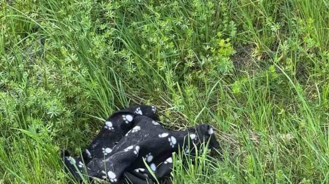 Schwarze Kuscheldecke im Gras