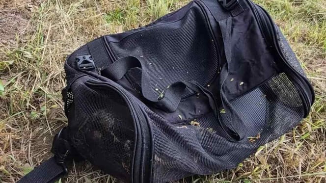 Sac de voyage noir trouvé dans un buisson