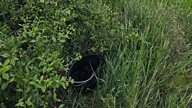 Seau noir dans l'herbe