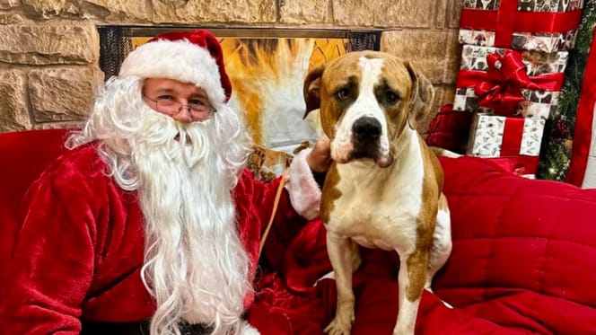 Séance photo de Noël