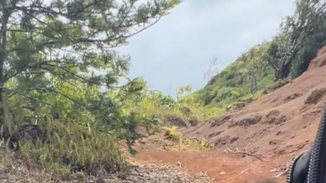 Hiking trail