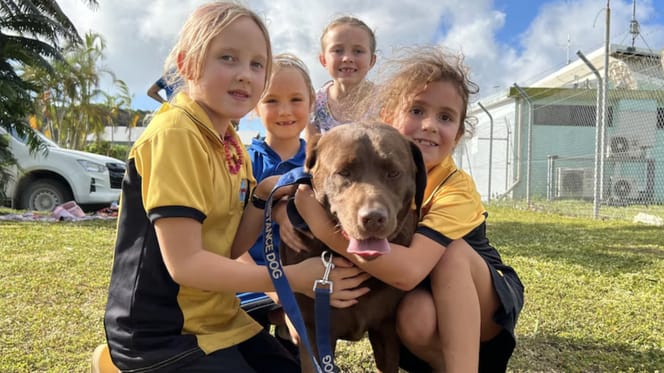 Shiloh is de laatste hond van Christmas Island