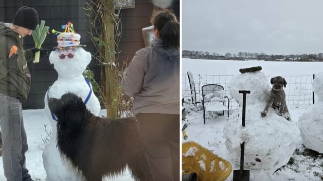 Sneeuwpoppen maken met de hond