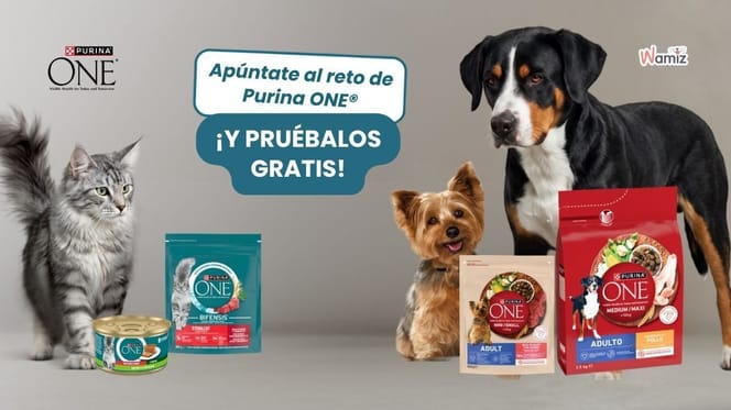 sorteo de tres semanas de Purina One