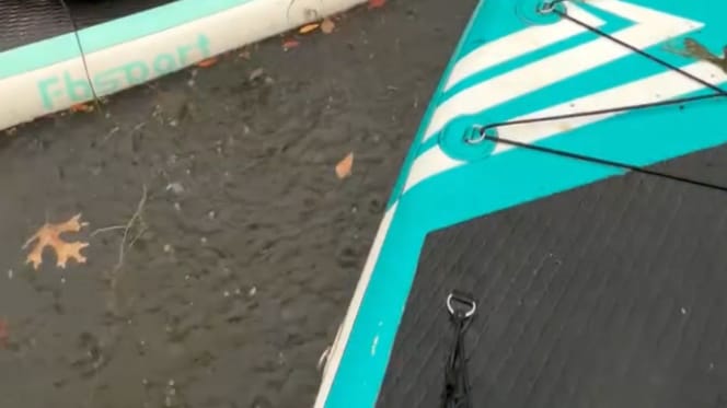 Sortie de pêche