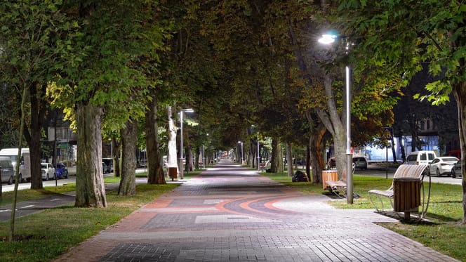 Paseo y una sombra entre los arbustos