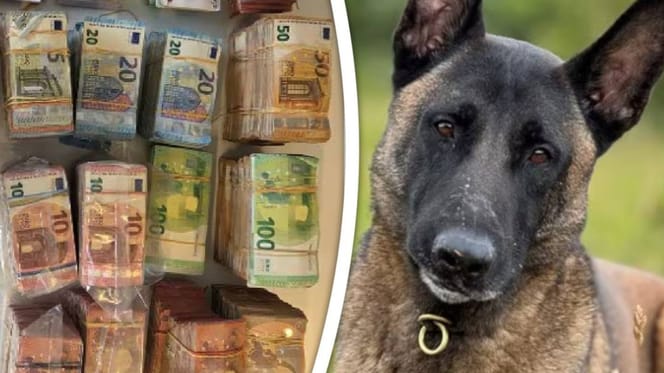 Speurhond Monster vindt 700.000 euro in tas bij man in Barendrecht